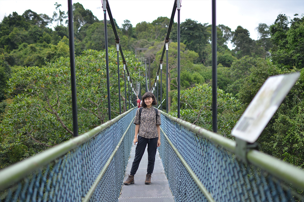 Walking the TreeTop Hike at MacRitchie Resevoir