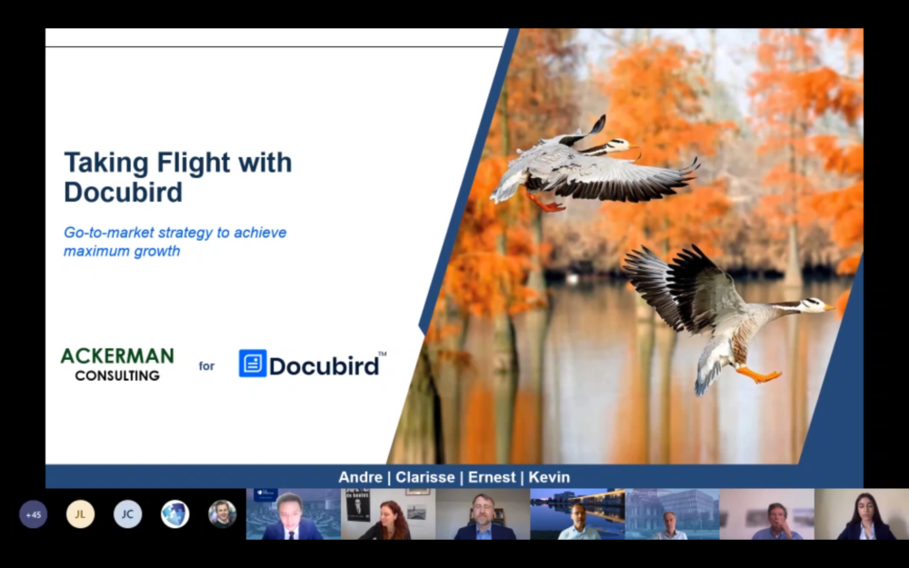 Part of the team’s presentation slides for the Docubird case