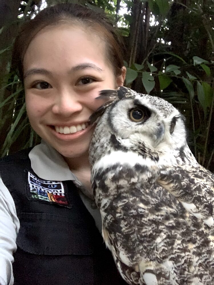 Carisa posing with the owl Rainbow, when she worked part-time at Night Safari previously.