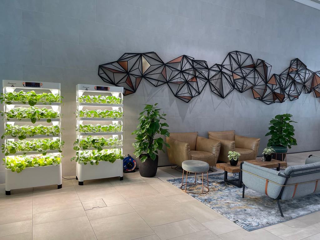 Indoor planting systems add a sustainable touch of green to offices. 