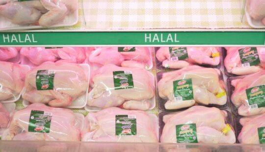 Indonesian Companies Expect New Halal Regulation to Spur Growth