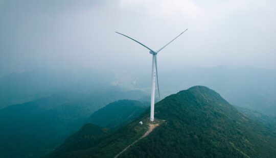 Green transition boosts global investment prospects