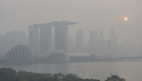 Asia’s financiers must look beyond headlines on environmental risks